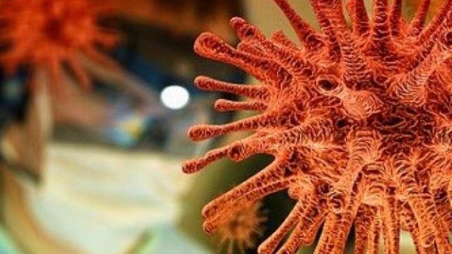 Bu ərzaqlar koronavirusa yoluxmaqdan qoruyur - SİYAHI