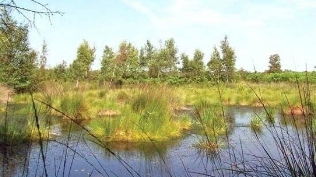 Başçının hektarlarla torpağı... – İH-dən açıqlama