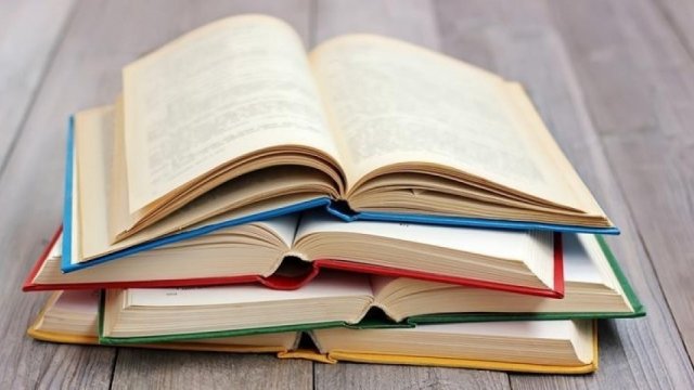 Dilçilik İnstitutunun lüğətində danq-dunq, vıj-vıj kimi sözlər var - Afaq Məsud