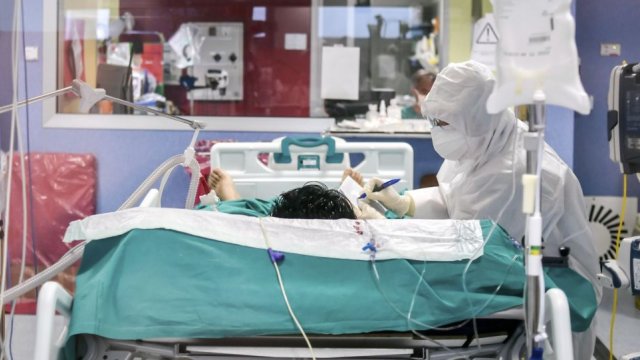 Azərbaycanda reanimasiyada olan koronavirus xəstələrinin sayı açıqlandı 