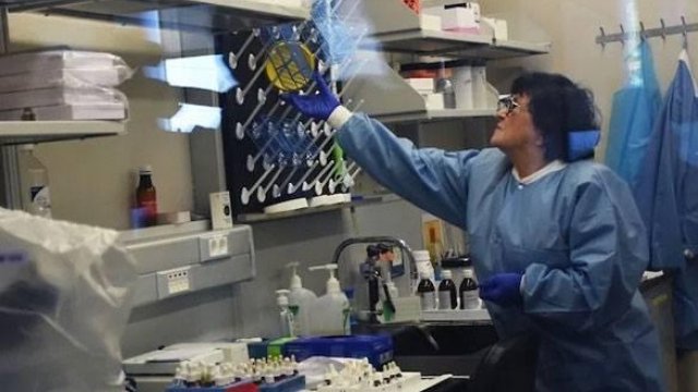 Ermənitandakı biolaboratoriyalar kimin mülkiyyətidir?