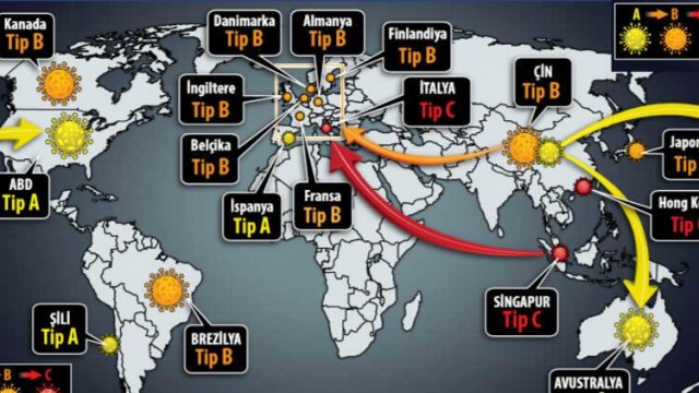 Bizi korona deyil, immun sistemimiz öldürür - Professor