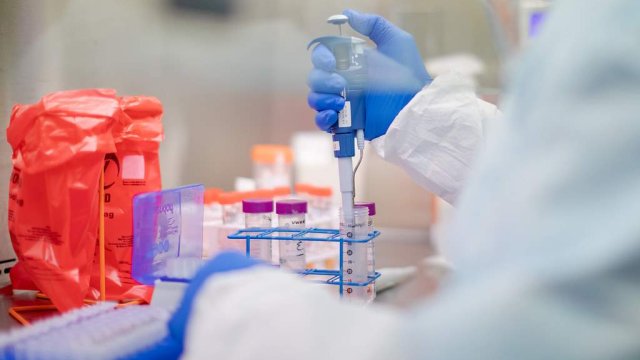 Koronavirus testinin nəticəsinə inanmaq olar? - VİDEO