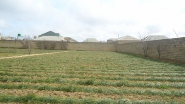 Bakıda torpaq bahalaşıb - VİDEO