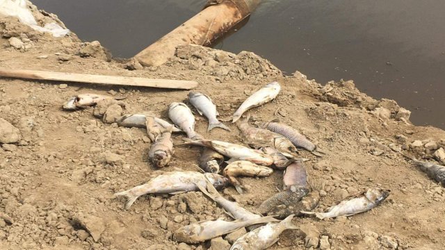 İcra Hakimiyyətindən şikayətə reaksiya - Balıq gölünün suyu niyə kəsilib?