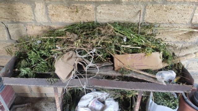 Siyəzən polisi narkotacir dəstələrini ifşa etdi - 