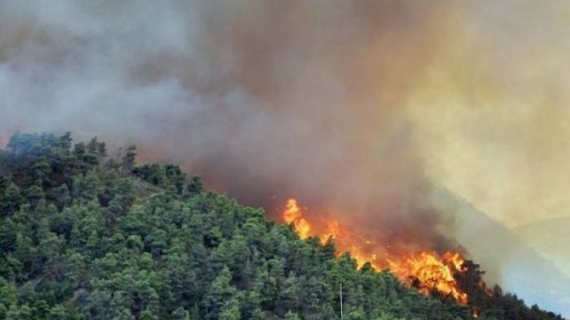 Siyəzəndəki yanğına görə cinayət işi AÇILDI