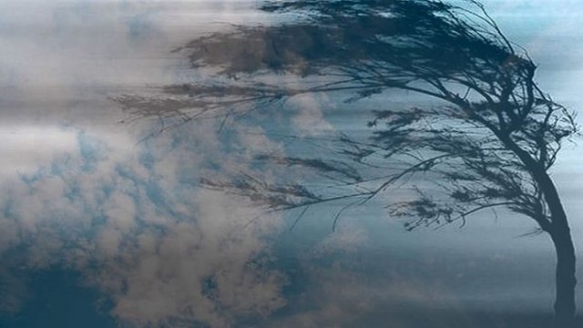 Külək güclənəcək, temperatur düşəcək - Proqnoz