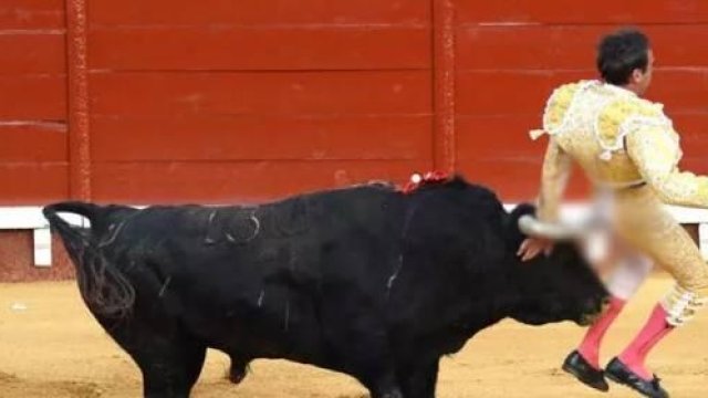 Məşhur matador buğanın hücumuna məruz qaldı - VİDEO