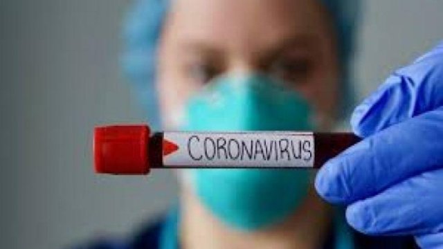 İlk dəfə bu qidada koronavirus aşkarlandı
