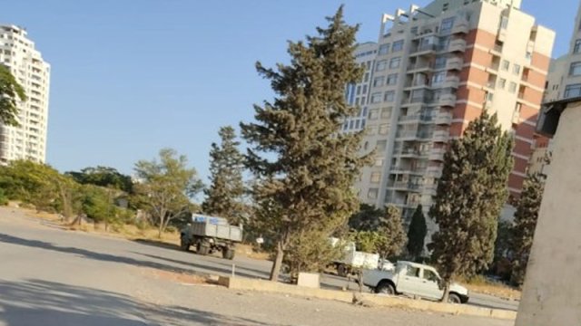 Bakının bu küçəsində ağacların dibi betonlandı - FOTOLAR