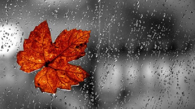 Yağışlı hava yoluxma sayına necə təsir edəcək? - RƏYLƏR