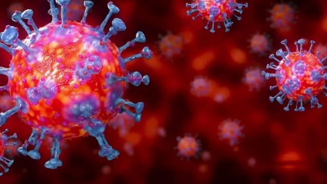 Sağalan xəstələrin ürəyində koronavirus izləri TAPILDI