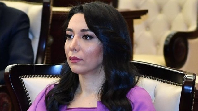 Azərbaycanın Ombudsmanı fəaliyyətini dondurdu