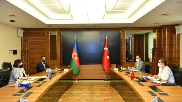 Naxçıvan Azərbaycanın bizə əmanətidir - Türkiyəli nazir