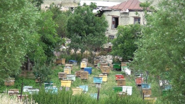 Qubanın Aydınkənd kəndində cəmi yeddi ailə yaşayır - VİDEO