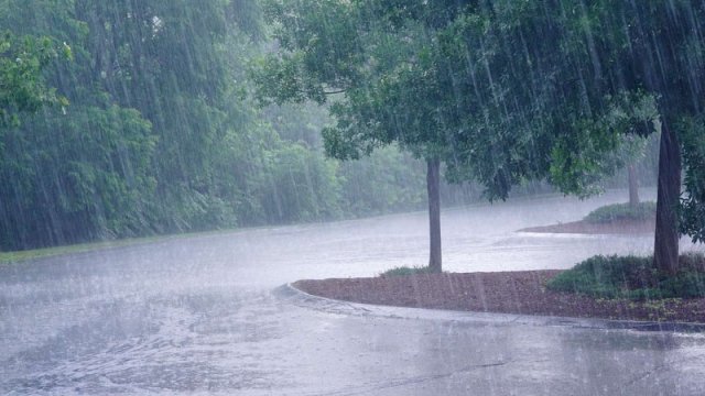 Nazirlikdən hava xəbərdarlığı: Güclü külək, yağış...