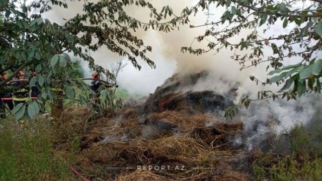 Qubadakı yanğınları kimlərin törətdiyi bəlli oldu - Nazirlikdən AÇIQLAMA