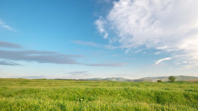 Sabahın hava proqnozu açıqlandı