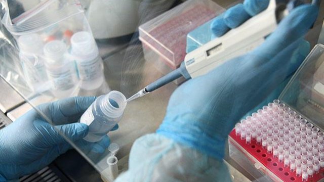 Azərbaycanda bu günədək koronavirusa yoluxan şagirdlərin sayı açıqlandı