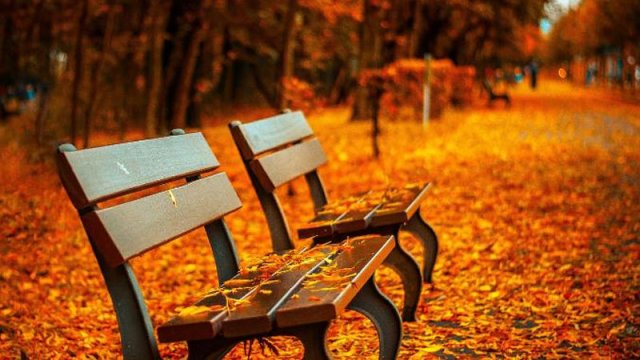 Sabaha olan hava proqnozu AÇIQLANDI