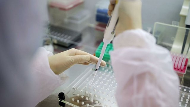 Azərbaycanda daha 8 nəfər koronavirusdan öldü - GÜNÜN STATİSTİKASI