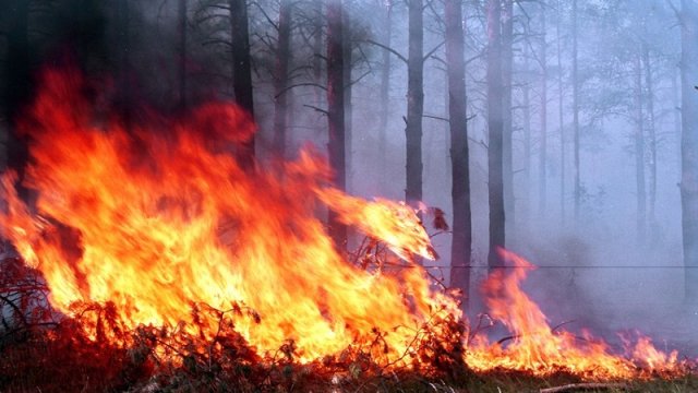Nazirlik düşmənin ekoloji terroru ilə bağlı hərəkətə keçdi