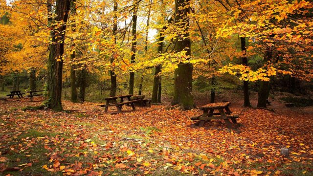 Sabaha olan hava proqnozu AÇIQLANDI