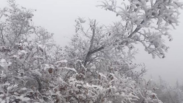 Sabah hava necə olacaq?