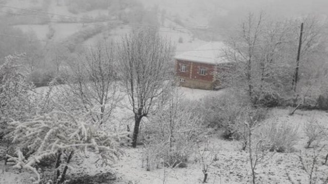 Bakıda normadan artıq yağış, rayonlara isə 27 sm qar yağıb - Faktiki hava
