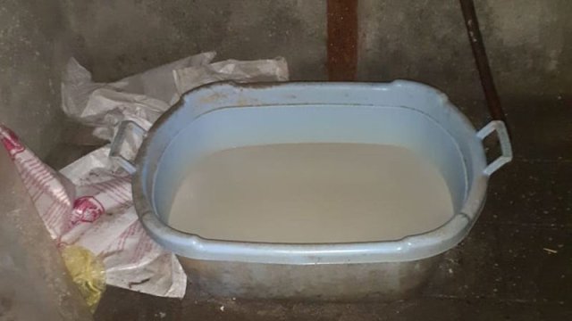 Süd və saçaqlı pendir hazırlanan müəssisələrdə xoşagəlməz mənzərə - FOTOLAR
