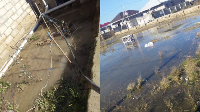 Ramana qəsəbəsində evlər su içində qaldı - FOTO/VİDEO