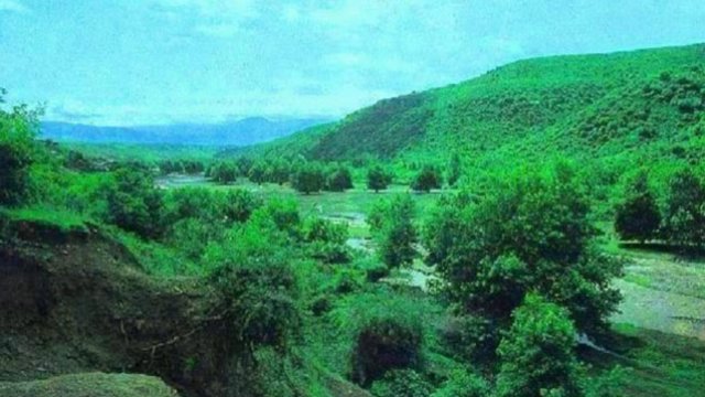 Qarabağda qoruq və yasaqlıqlar bərpa olunacaq