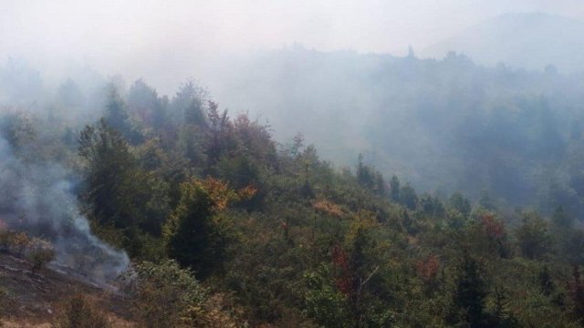 Hirkan Milli Parkında yanğın başlayıb