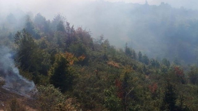 Hirkan Milli Parkında yanğının söndürülməsinə təyyarə cəlb olundu