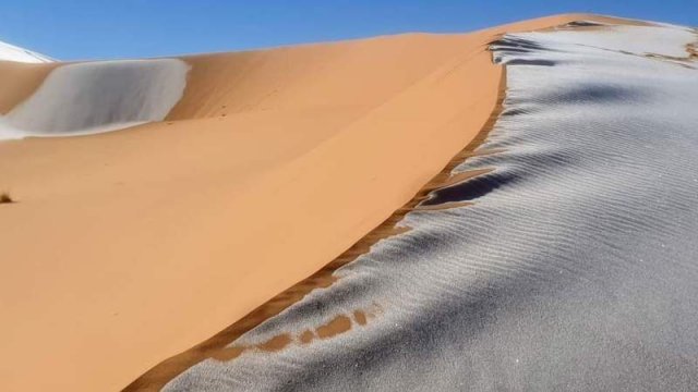 Sahara səhrasına qar yağdı - FOTO