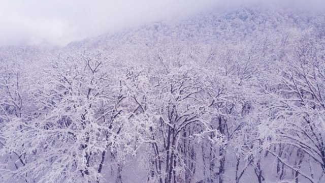 Bu rayonlara qar yağıb - FAKTİKİ HAVA