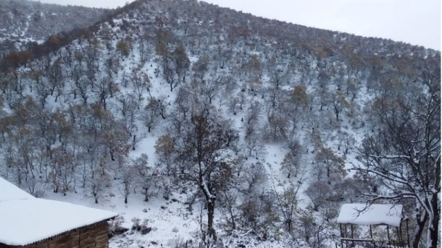 Cəlilabadda qar fəsadlara səbəb oldu