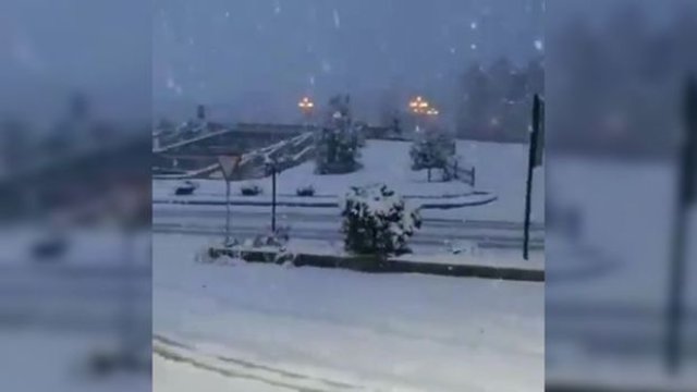 Azərbaycanın şimal bölgəsi ağ örpəyə büründü - VİDEO