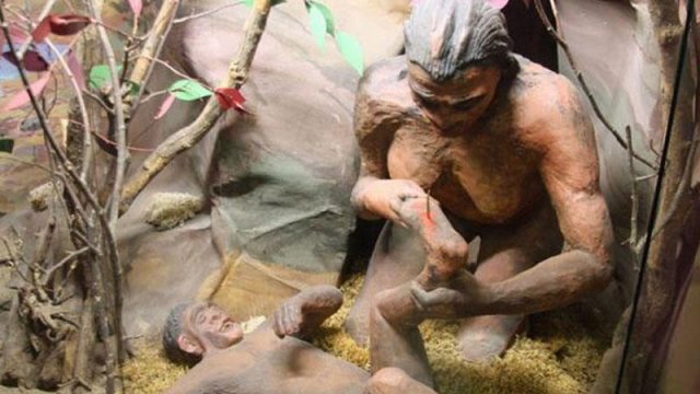 Adəm və Həvva təkzib olunur: İnsan nə vaxt və necə yaranıb?