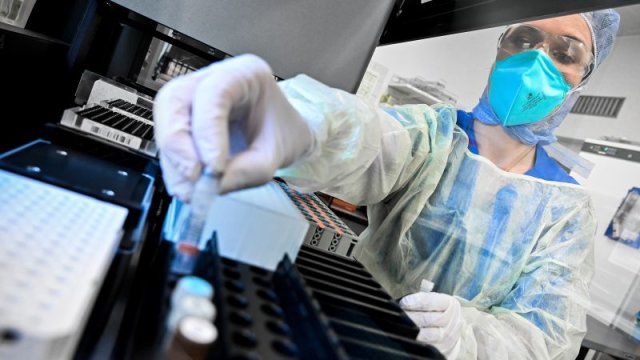 Koronavirusla bağlı son məlumat AÇIQLANDI