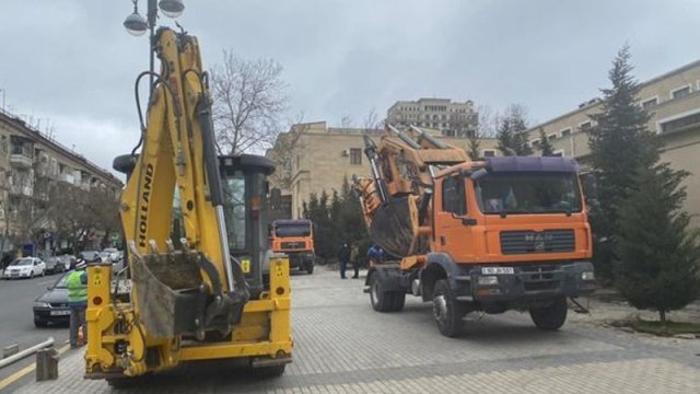 Yasamalda ağaclar niyə köçürülür? - Nazirlikdən CAVAB (FOTO)