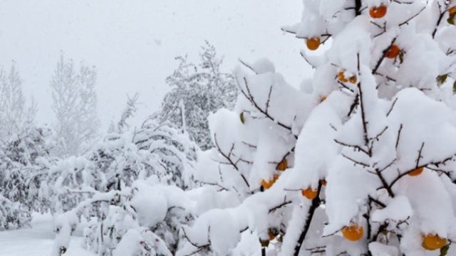 Hava kəskin dəyişəcək - XƏBƏRDARLIQ