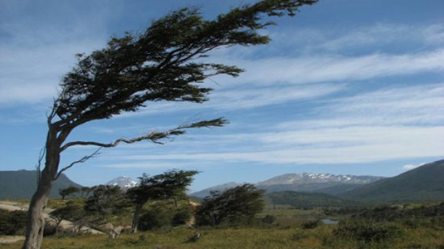 Güclü külək əsəcək - XƏBƏRDARLIQ