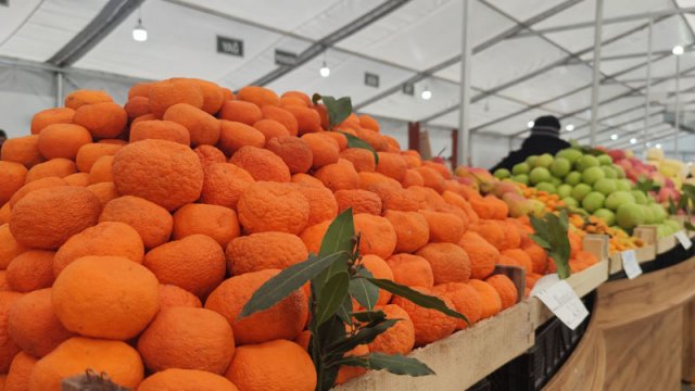 Həftəsonu yarmarkaları bu ünvanlarda olacaq - FOTOLAR