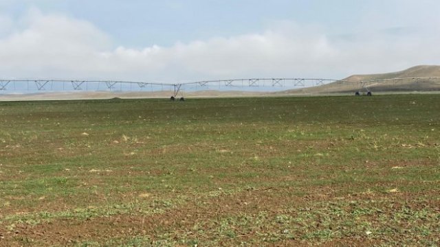 Azad edilmiş ərazilərdəki bu işlər başa çatdı