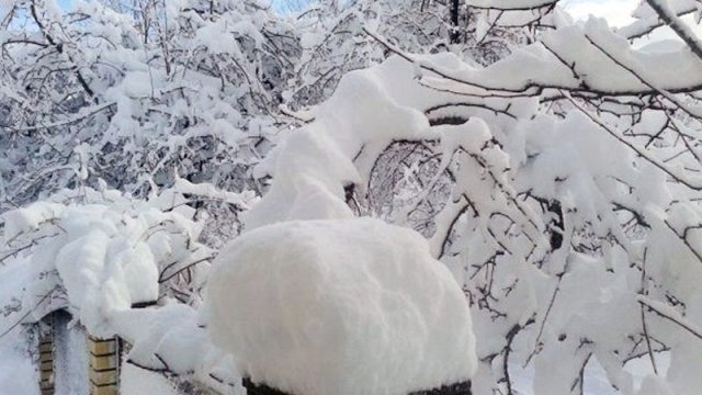 Sabah bu ərazilərə qar yağacaq - PROQNOZ