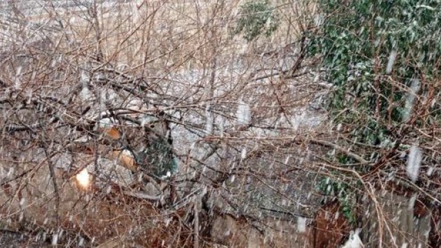 Gəncədə qar yağır - FOTO/VİDEO