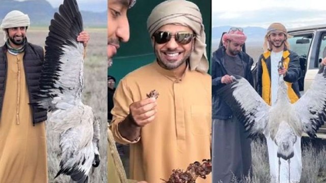 Ərəblər Azərbaycanda nadir quş növlərini ovlayıb, kabab çəkdilər - FOTOLAR