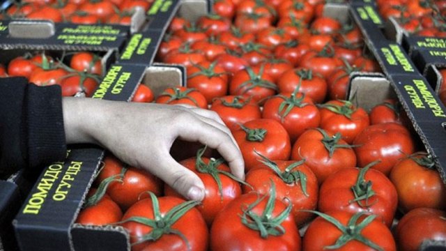 Daha 30 sahibkarın Rusiyaya pomidor ixracına icazə verildi